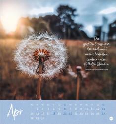 Stille Momente Postkartenkalender 2025