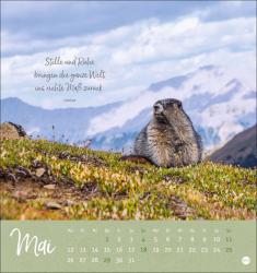 Stille Momente Postkartenkalender 2025