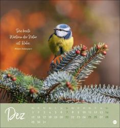 Stille Momente Postkartenkalender 2025