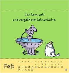 Catzz Postkartenkalender 2025