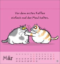 Catzz Postkartenkalender 2025