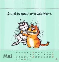 Catzz Postkartenkalender 2025