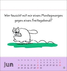 Catzz Postkartenkalender 2025