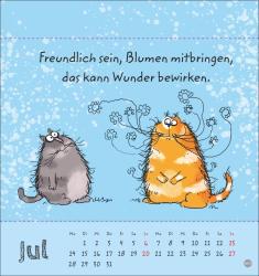 Catzz Postkartenkalender 2025