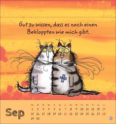 Catzz Postkartenkalender 2025