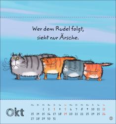 Catzz Postkartenkalender 2025