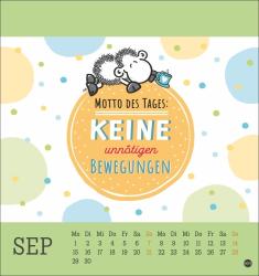 sheepworld Postkartenkalender 2025