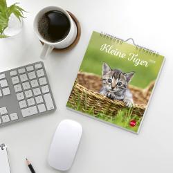 Postkartenkalender Katzen Kleine Tiger 2026