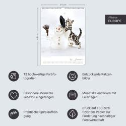 Katzenkinder Posterkalender 2026