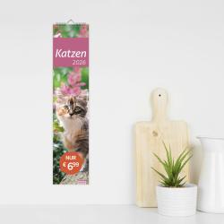 Katzen Langplaner 2026