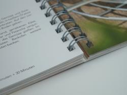 Blechkuchen: süß und herzhaft - Taschenbuch