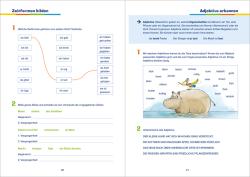 Andrea Essers: Grammatik 3. Klasse - Taschenbuch