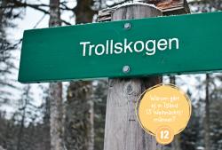 Grünes Holzschild mit weißer Aufschrift Trollskogen. Im Hintergrund Bäume und Himmel sichtbar, winterliche Umgebung.