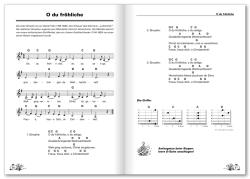 Peter Bursch: Peter Bursch´s Weihnachtsliederbuch, m. 1 Audio-CD