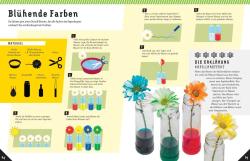 Rob Beattie: Coole Science-Experimente - Taschenbuch