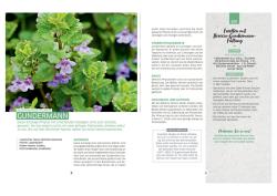 Michel Luchesi: Wilde Ernte aus dem Wald - 40 essbare Pflanzen - einfache Bestimmung, kompaktes Wissen und leckere Rezepte - Taschenbuch