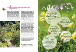 Elke Schwarzer: Mein Schmetterlingsgarten - Taschenbuch