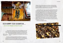 Fiona Kupfer: Quentins Welt der Bienen. #meetthebeefamily - Beesteez - gebunden