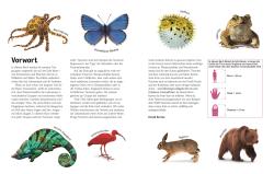 David Burnie: Unsere Welt in 1000 Bildern. Tiere - gebunden