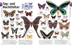 David Burnie: Unsere Welt in 1000 Bildern. Tiere - gebunden