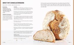 Martin Johansson: Brot Brot Brot - gebunden