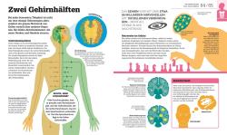 Der menschliche Körper und wie er funktioniert - gebunden