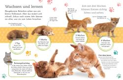 Alles über deine Katze - gebunden