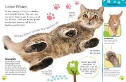 Alles über deine Katze - gebunden