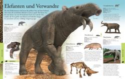 Wissen für clevere Kids. Dinosaurier und andere Tiere der Urzeit für clevere Kids - gebunden