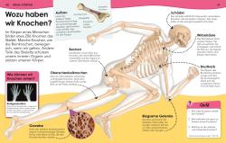 Weshalb? Deshalb! Natur und Technik - gebunden