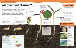 Weshalb? Deshalb! Natur und Technik - gebunden