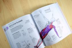 Ann Swanson: Yoga verstehen - Die Anatomie der Yoga-Haltungen - Taschenbuch