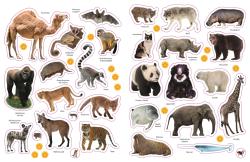 Sticker-Lexikon. Tiere - Taschenbuch