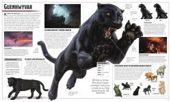 Michael Witwer: Dungeons & Dragons Die Legende von Drizzt Die illustrierte Enzyklopädie - gebunden