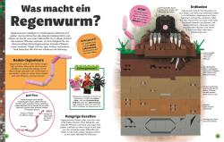 Jennifer Swanson: LEGO® Entdecke die Erde - gebunden