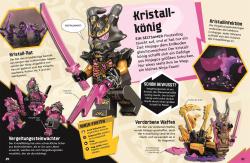 Shari Last: LEGO® NINJAGO® Die geheime Welt der Ninja - gebunden