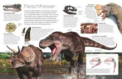 David Lambert: memo Wissen. Dinosaurier - gebunden