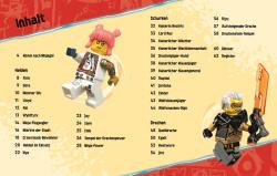 Shari Last: LEGO® NINJAGO® Aufstieg der Drachen Der ultimative Ninja-Guide - gebunden