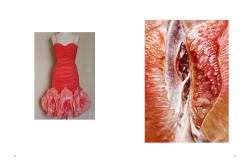 Lisa Frischemeier: I see Vulvas everywhere - gebunden