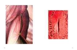 Lisa Frischemeier: I see Vulvas everywhere - gebunden