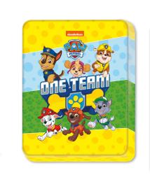 Panini: PAW Patrol: Meine große PAW Patrol Box - Taschenbuch