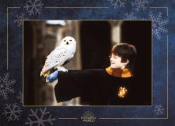 Jody Revenson: Aus den Filmen zu Harry Potter: Hedwig - ein magischer Pop-up Adventskalender - gebunden