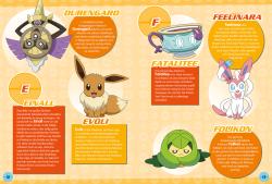 Panini: Pokémon: 100 Fakten über Pokémon - von Aerodactyl bis Zoroark - gebunden