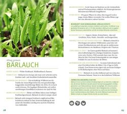 Katrin Wittmann: Kräuter - Taschenbuch
