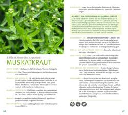 Katrin Wittmann: Kräuter - Taschenbuch
