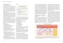 Angelika Ilies: Diabetes: Vorsicht, Insulinfalle! - Taschenbuch
