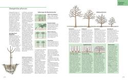 Jürgen Becker: Das große GU Gartenbuch - gebunden