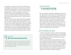 Matthias Hammer: Der Feind in meinem Kopf - Taschenbuch