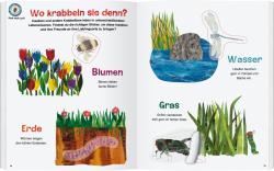 Eric Carle: Die kleine Raupe Nimmersatt - Mein Buch der Krabbeltiere - geheftet