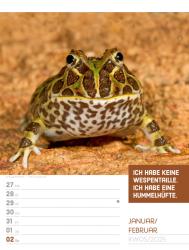 Ackermann Kunstverlag: Tierisch! Sprüchekalender - Wochenplaner Kalender 2025